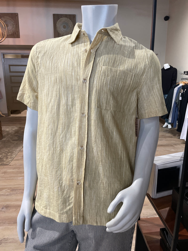 Stripe Short Sleeve